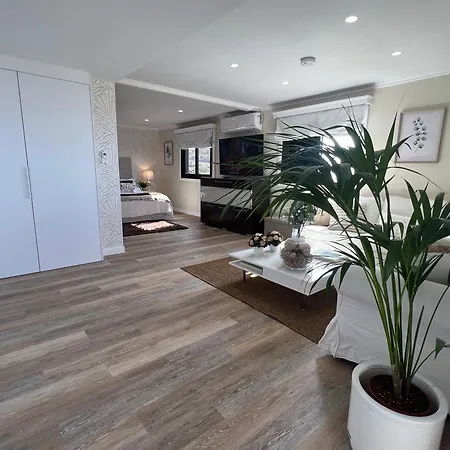 New Luxury Penthouse Mencey Apartment