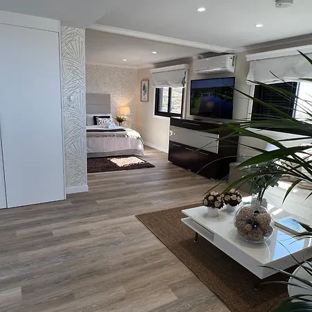 Apartment New Luxury Penthouse Mencey *